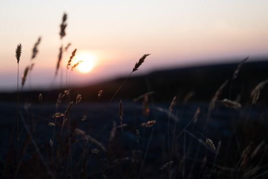 Sunset at Bridestones