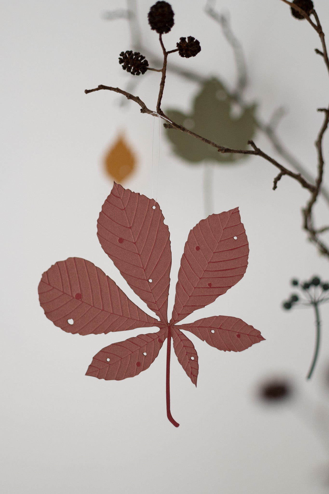 A single horse chestnut leaf