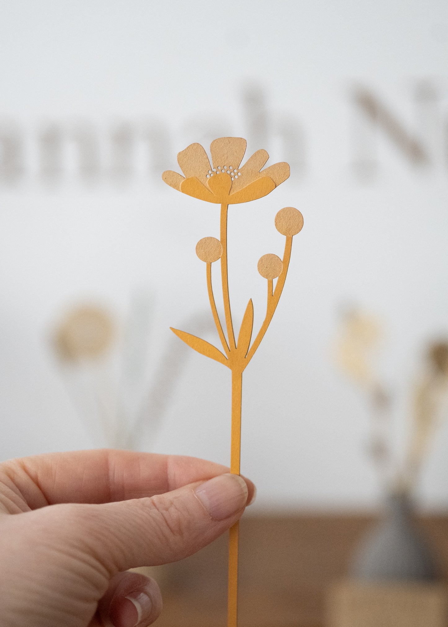 pick-n-mix buttercup stem