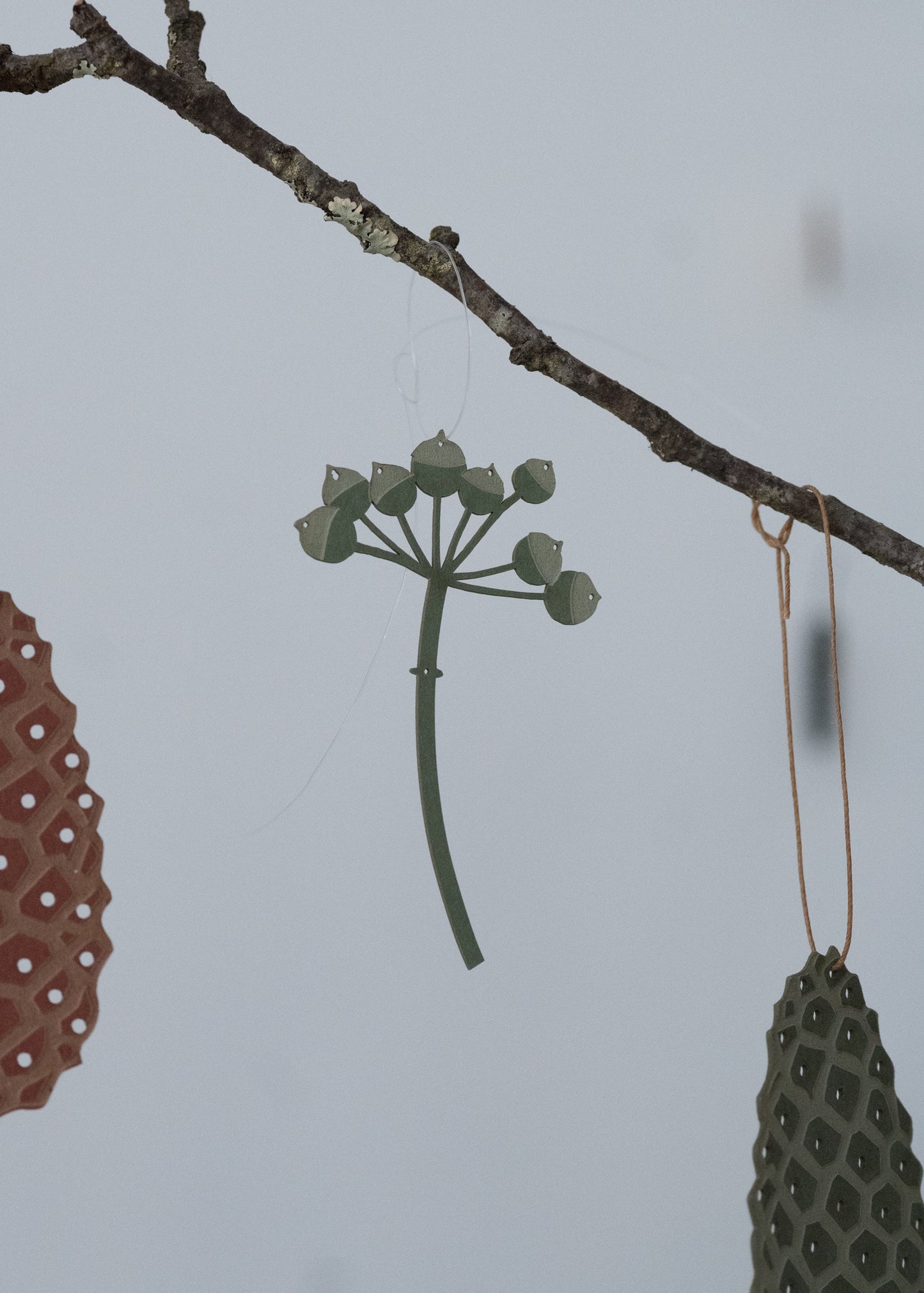 A cluster of Ivy Berries