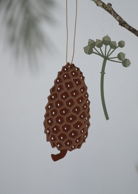 Fir cone