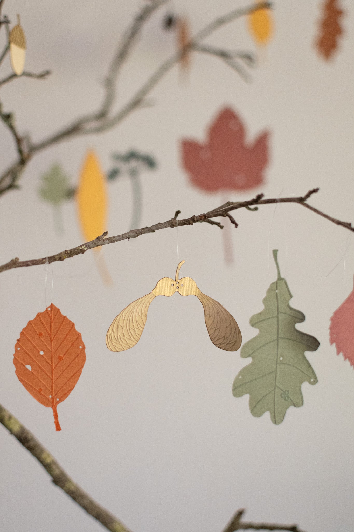 A large set of autumn leaves and treasures