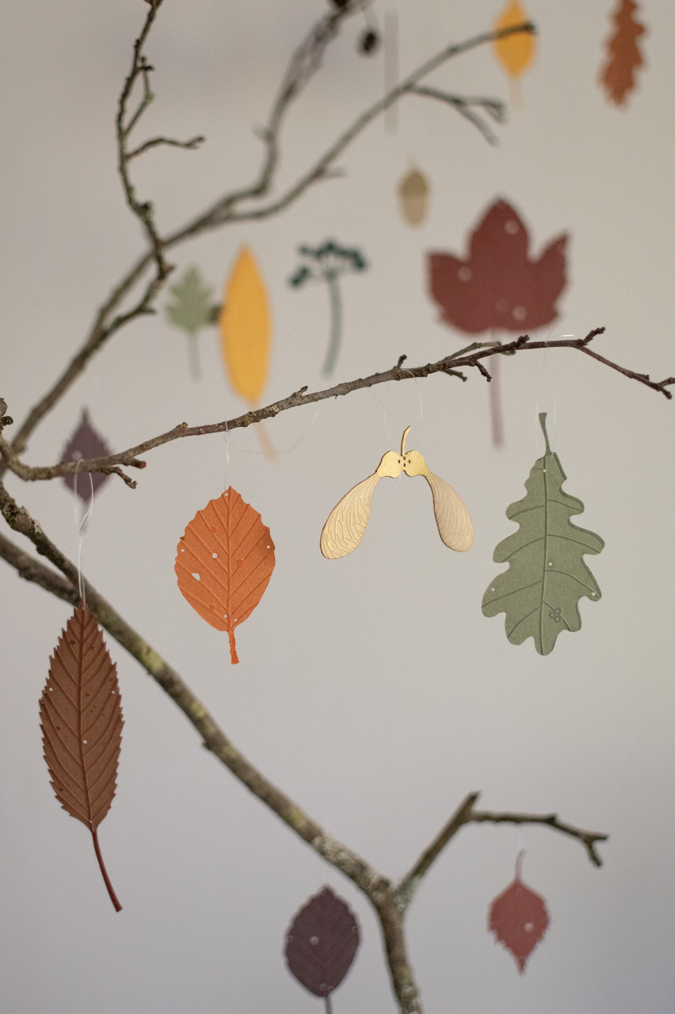 A large set of autumn leaves and treasures