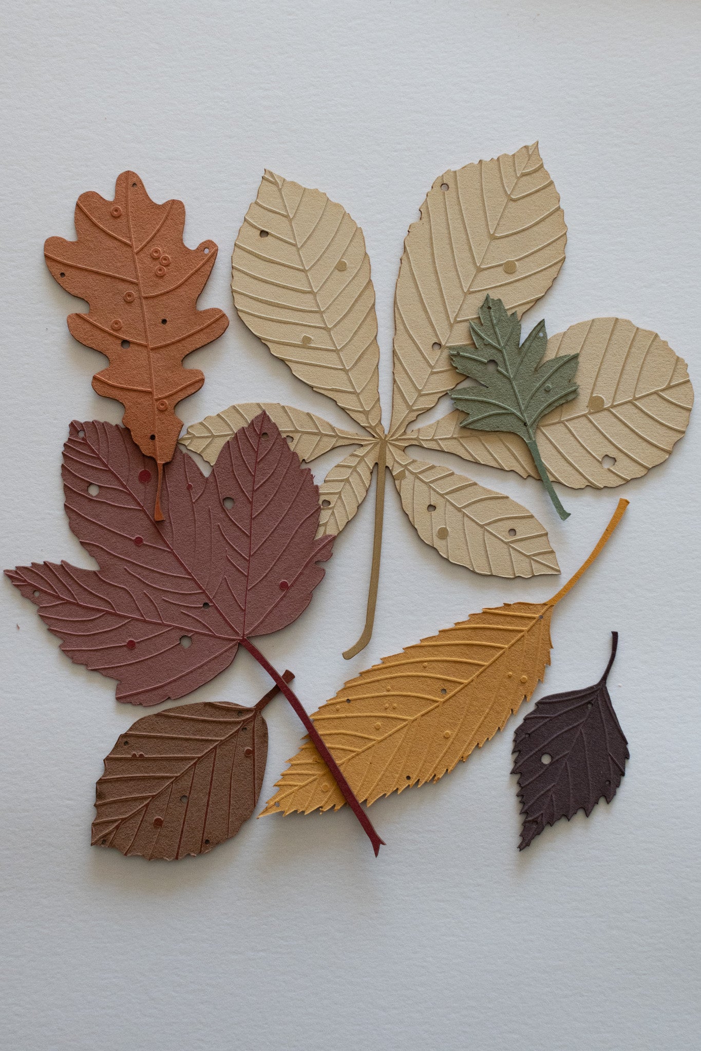 A small set of autumn leaves