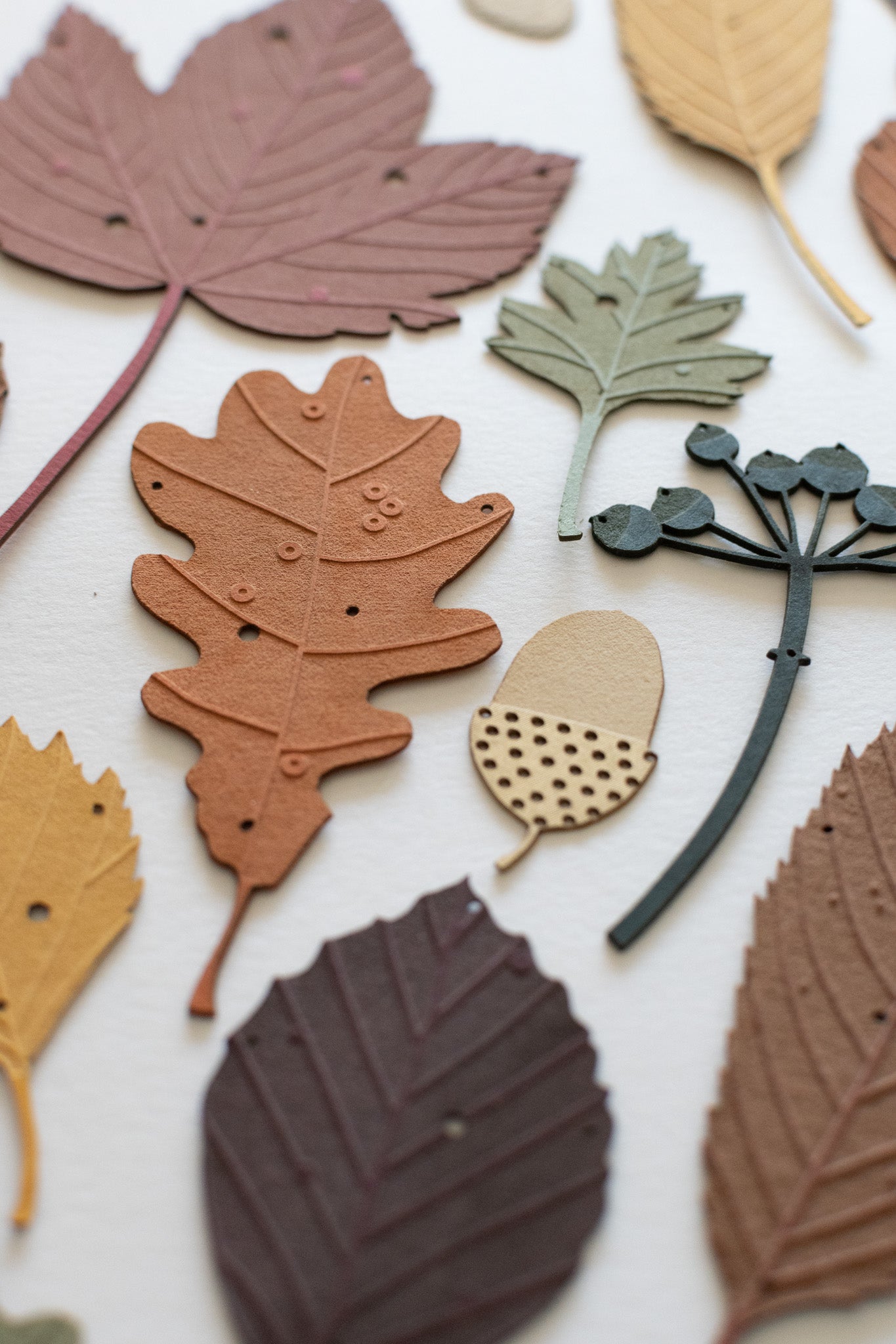 A large set of autumn leaves and treasures