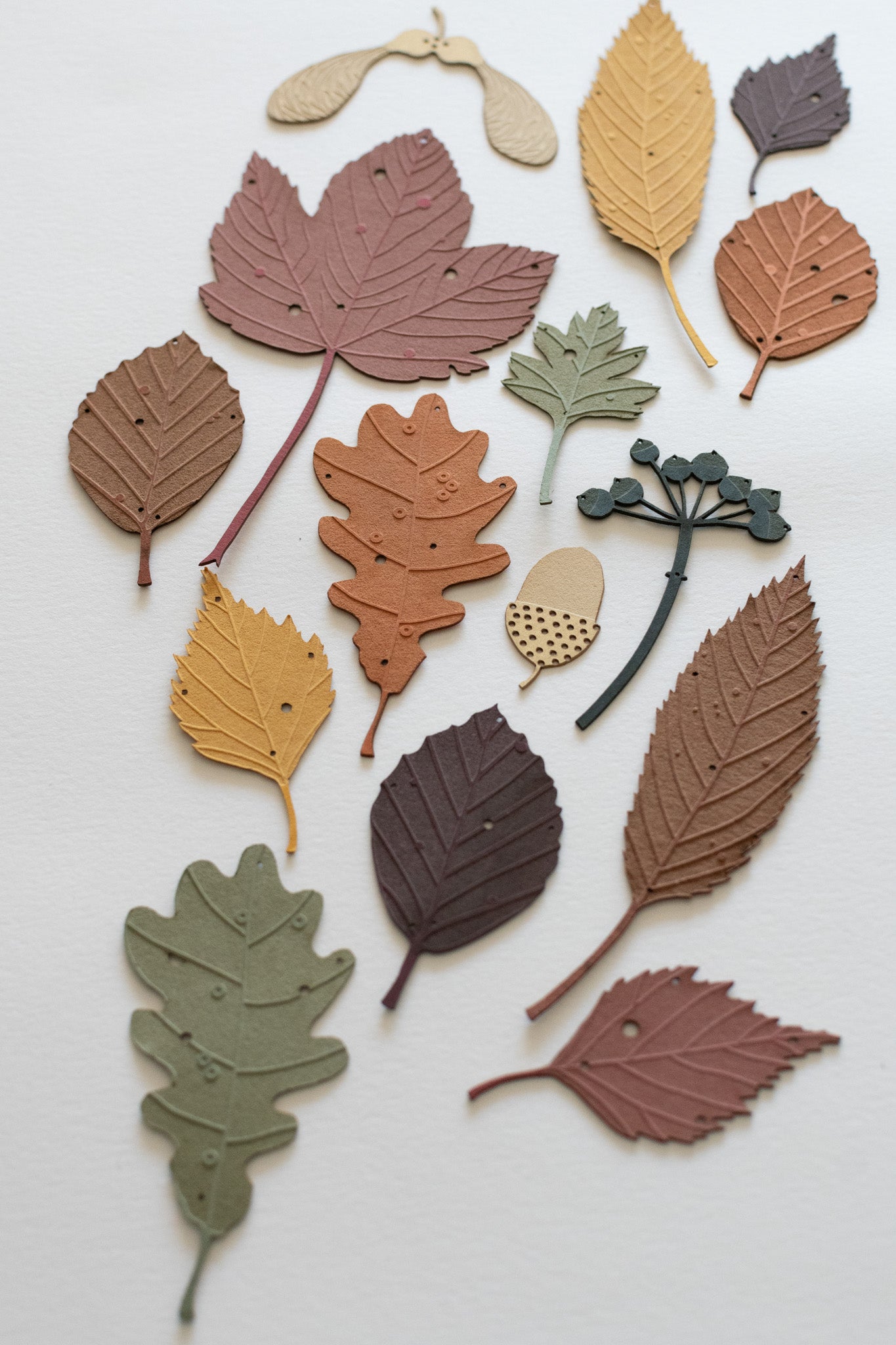 A large set of autumn leaves and treasures