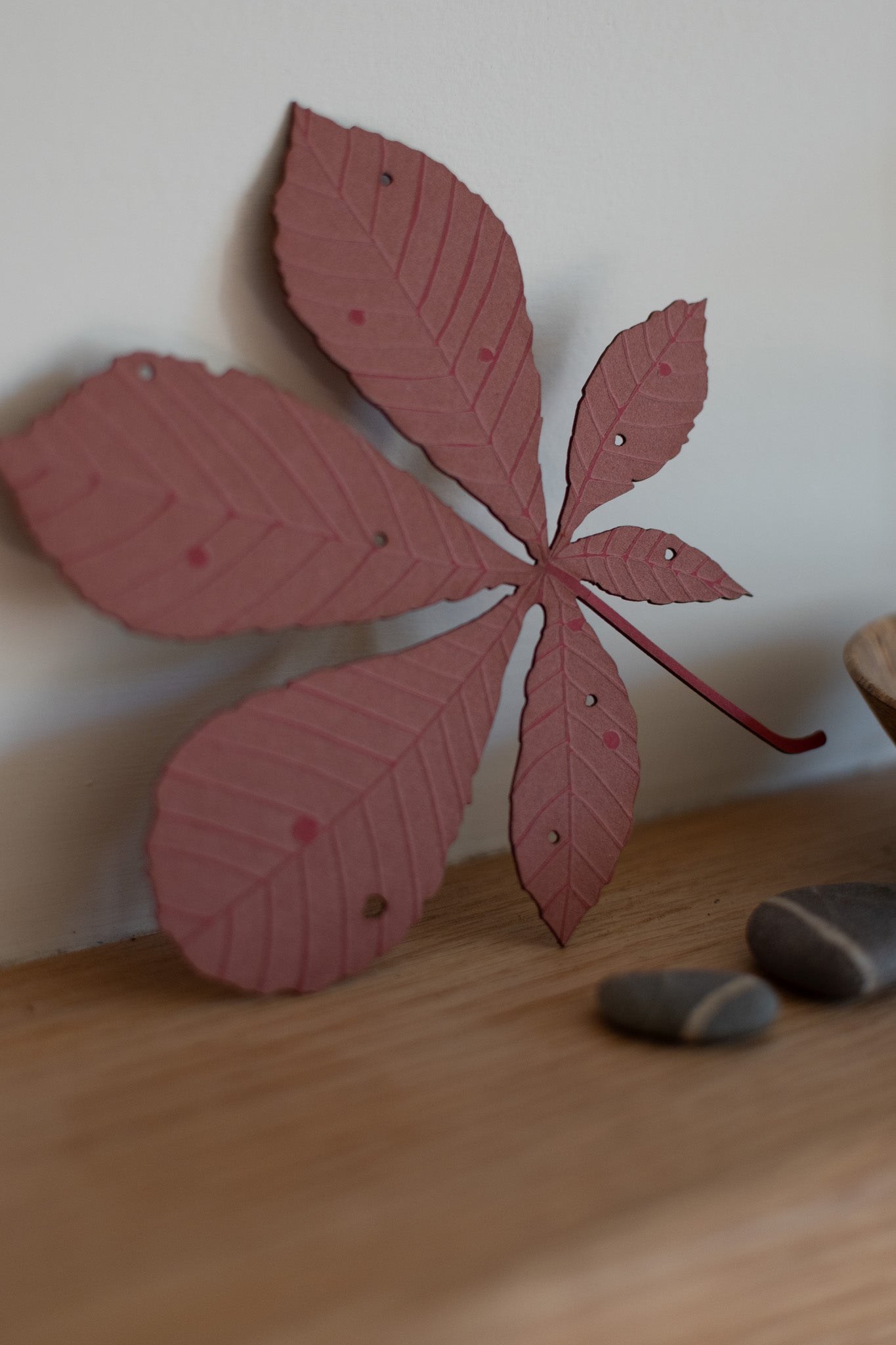 A single horse chestnut leaf